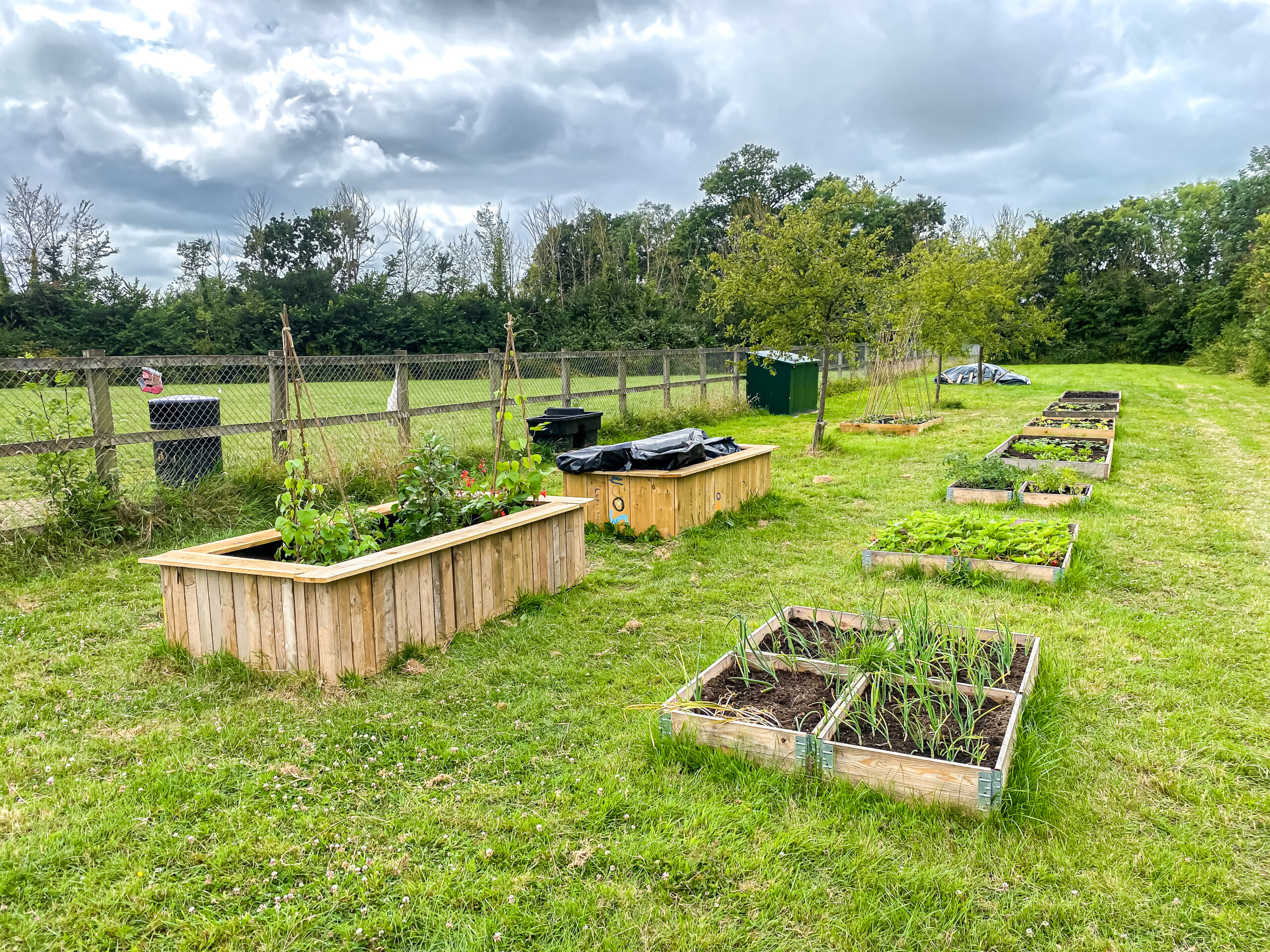 Cranbrook Community Garden 